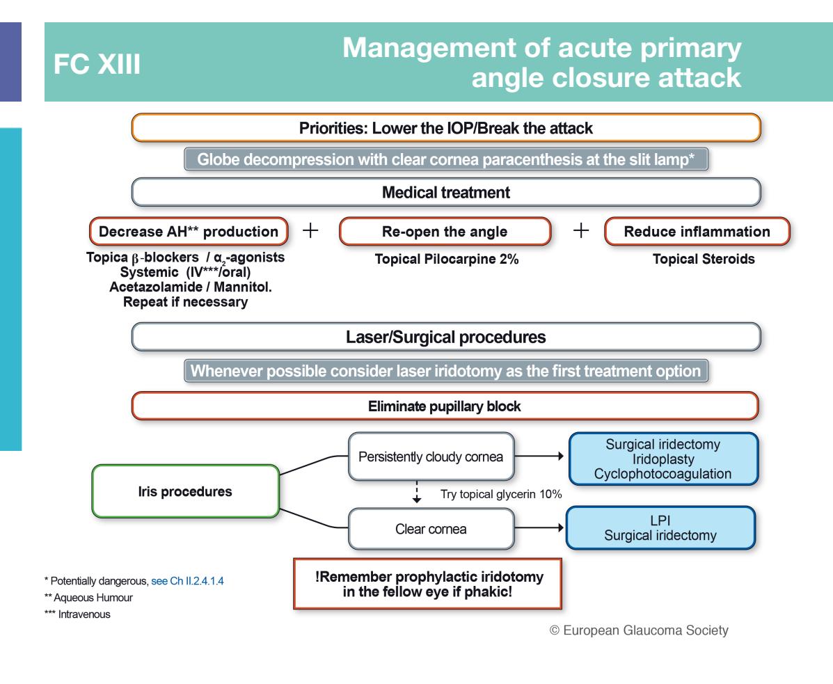 image_category: FLOWCHART/Clinical management algorithm | body_region: head | specialty: Ophthalmology | summary: A clinical flowchart outlining the systematic management of an acute primary angle closure attack, focusing on IOP reduction and elimination of pupillary block. | detail: This clinical flowchart, titled 'Management of acute primary angle closure attack' and credited to the European Glaucoma Society, provides a structured protocol for treating ophthalmic emergencies involving sudden spikes in intraocular pressure (IOP). The primary clinical priorities are to lower the IOP and break the attack immediately to prevent permanent vision loss. The algorithm suggests globe decompression via clear cornea paracentesis at the slit lamp as an initial, albeit high-risk, step. The core medical treatment strategy involves a three-pronged approach: decreasing aqueous humor (AH) production through topical beta-blockers or alpha-2 agonists and systemic administration of acetazolamide or mannitol; re-opening the drainage angle using topical 2% pilocarpine; and managing secondary inflammation with topical steroids. Once the acute phase is managed, the focus shifts to laser or surgical procedures to eliminate pupillary block, with laser iridotomy cited as the preferred first-line option. The flowchart further differentiates iris procedures based on corneal clarity: if the cornea remains persistently cloudy despite topical 10% glycerin, surgical iridectomy, iridoplasty, or cyclophotocoagulation are recommended. If the cornea is clear, laser peripheral iridotomy (LPI) or surgical iridectomy is performed. Finally, the guide highlights the importance of prophylactic iridotomy in the fellow eye if it is phakic, as it remains at high risk for a similar attack.