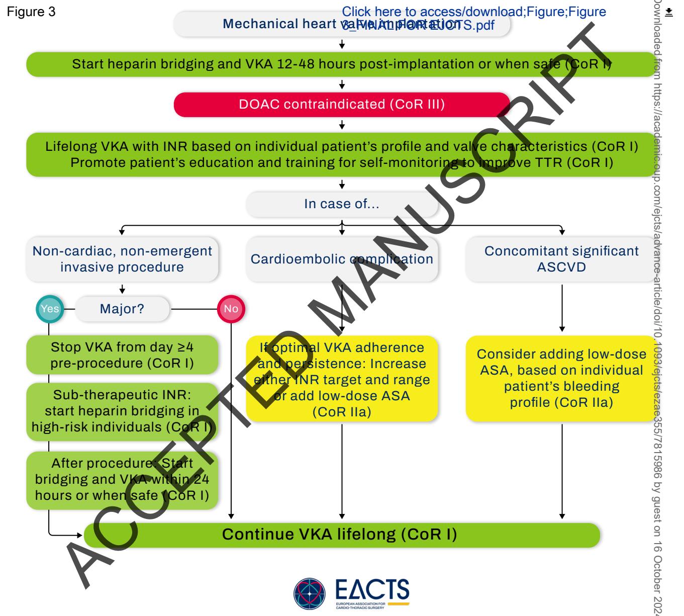 【EACTS Guidelines】Anticoagulation Management After Mechanical Heart Valve Implantation