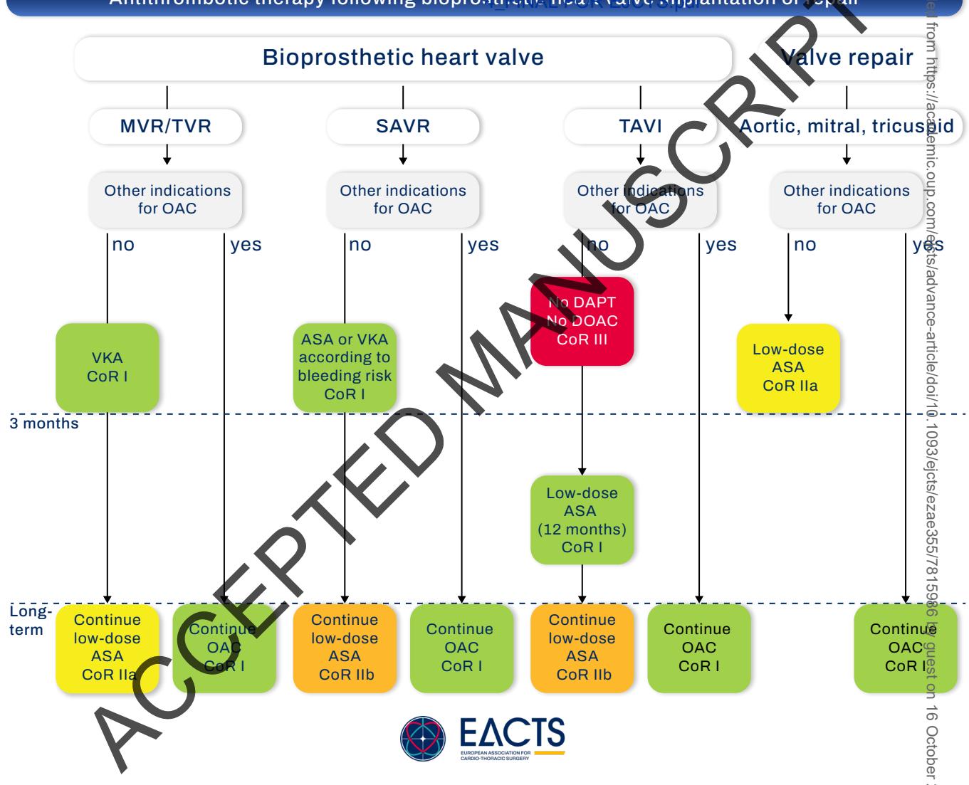 【EACTS Guidelines】Antithrombotic Therapy After Bioprosthetic Heart Valve Replacement or Repair