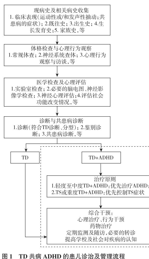 TD共病ADHD患儿诊治及管理流程