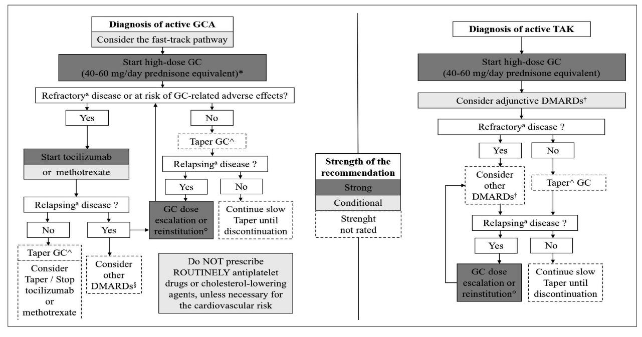 【The Italian Society of Rheumatology clinical practice guidelines for the management of large vessel vasculitis】Clinical Management Algorithm
