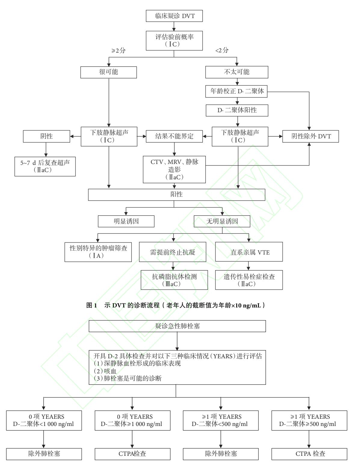 【共识/指南整合】血栓性静脉炎及静脉血栓栓塞症诊断流程图