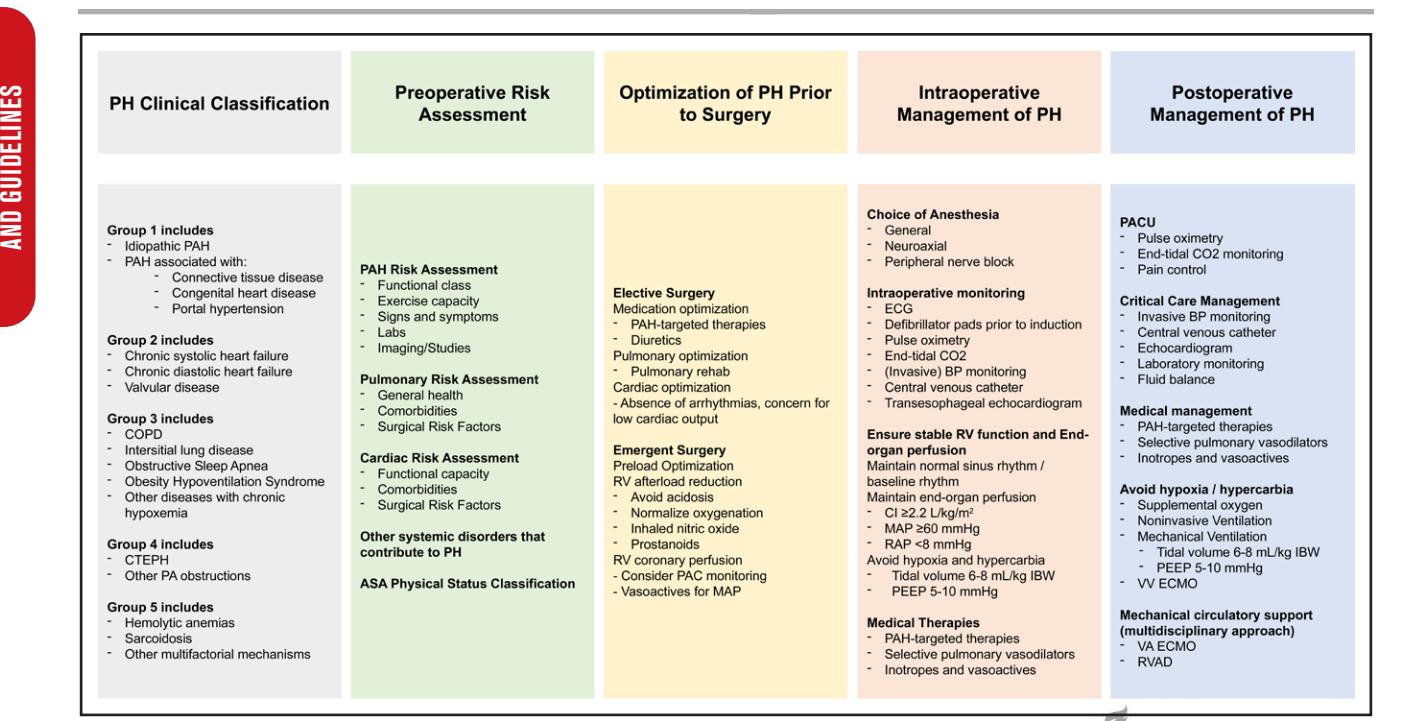 【Organ Failure and Anesthesia Practices Publishers Inc】Perioperative Management of Pulmonary Hypertension