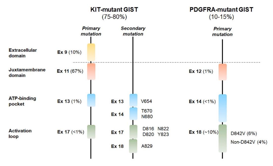 【2023年GEIS胃肠道间质瘤诊疗指南】Molecular mutation landscape diagram