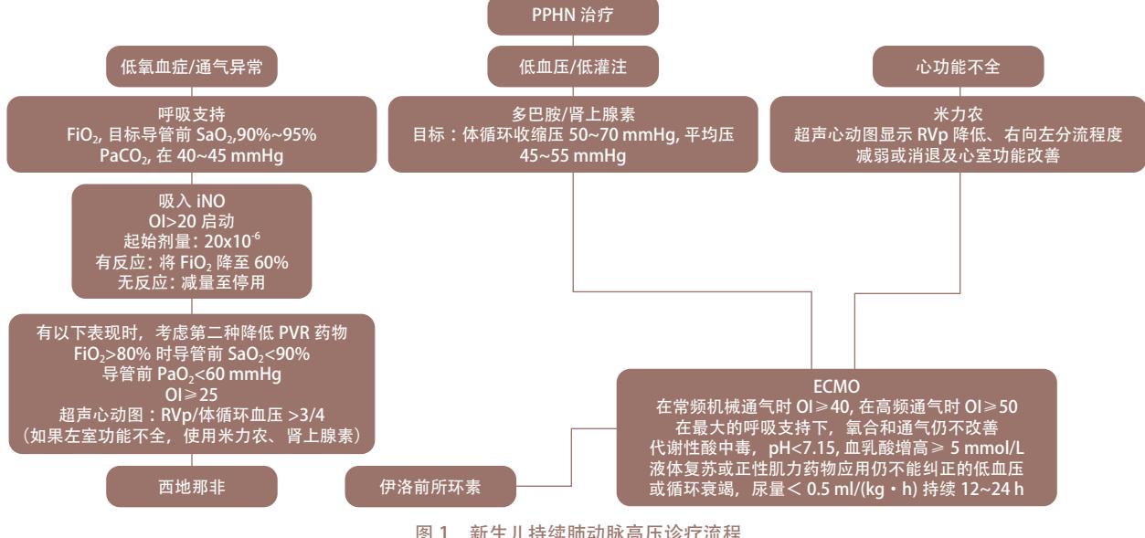 【新生儿持续肺动脉高压诊疗指南(2025年版)】诊疗流程图