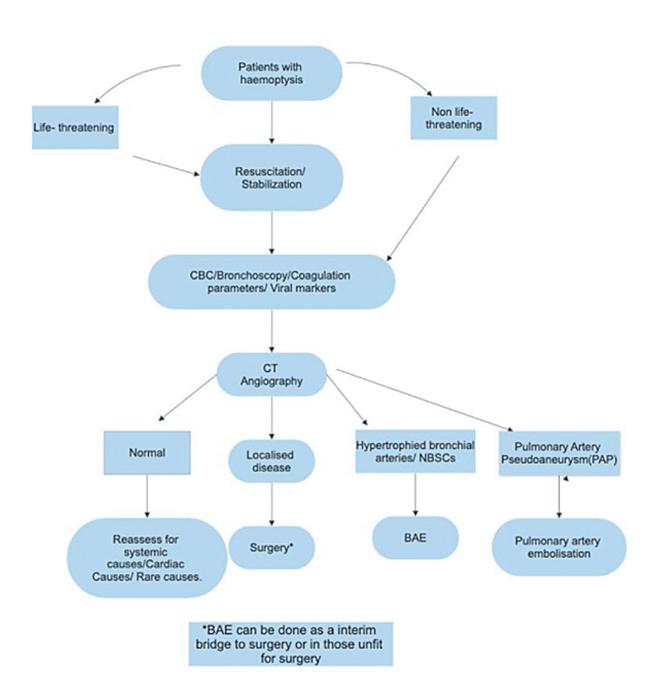 【Expert consensus on operational procedures for bronchial artery embolization in the treatment of hemoptysis】咯血管理流程图