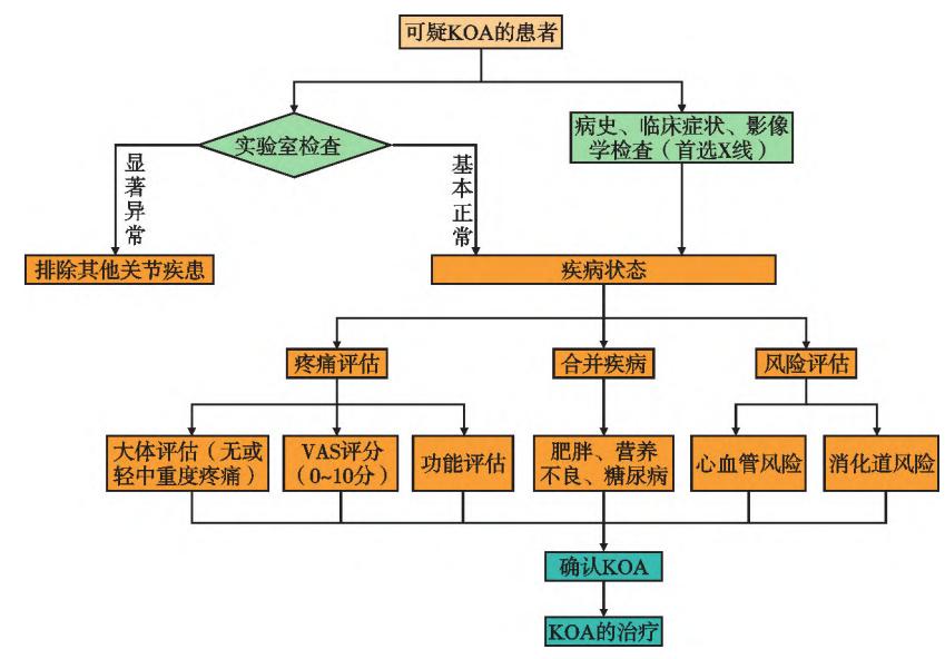 【膝骨关节炎多民族医诊疗专家共识】膝骨关节炎临床诊疗流程