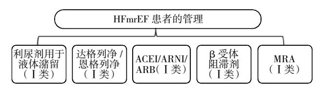 【中国心力衰竭诊断和治疗指南2024】HFmrEF Management