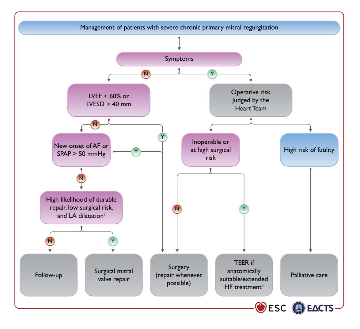 【ESC/EACTS Guidelines】Management of Severe Chronic Primary Mitral Regurgitation