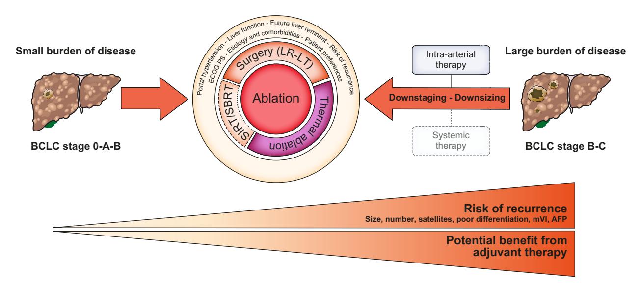 【Hepatocellular Carcinoma Treatment Algorithm】HCC Management Strategy
