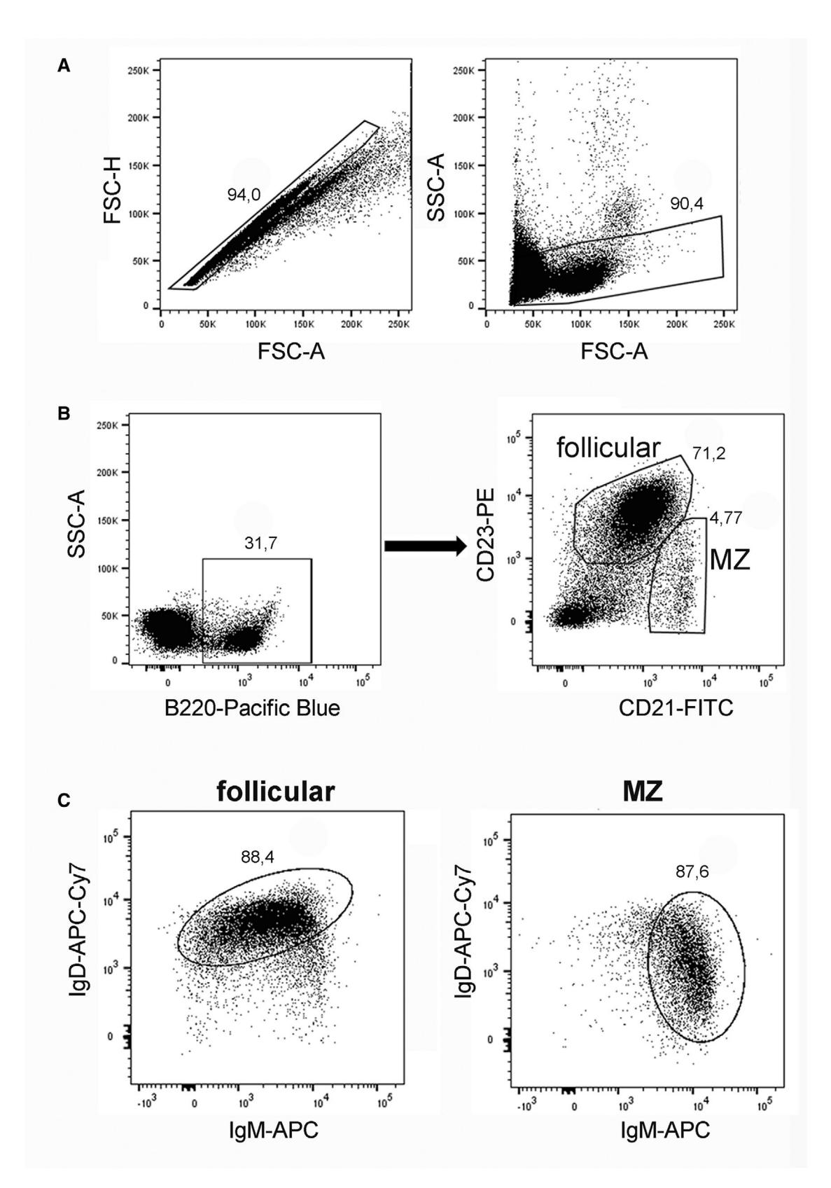 【Guidelines for the use of flow cytometry and cell sorting in immunological studies (third edition)】Flow cytometry scatter plots of B cell subsets