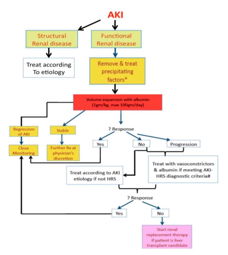 【AKI与HRS临床管理流程图】AKI and HRS Management Algorithm