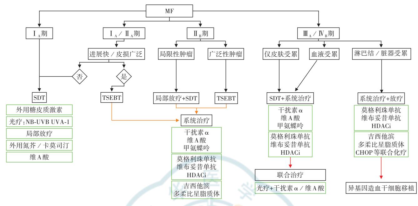 image_category: FLOWCHART/诊疗路径流程图 | body_region: 皮...