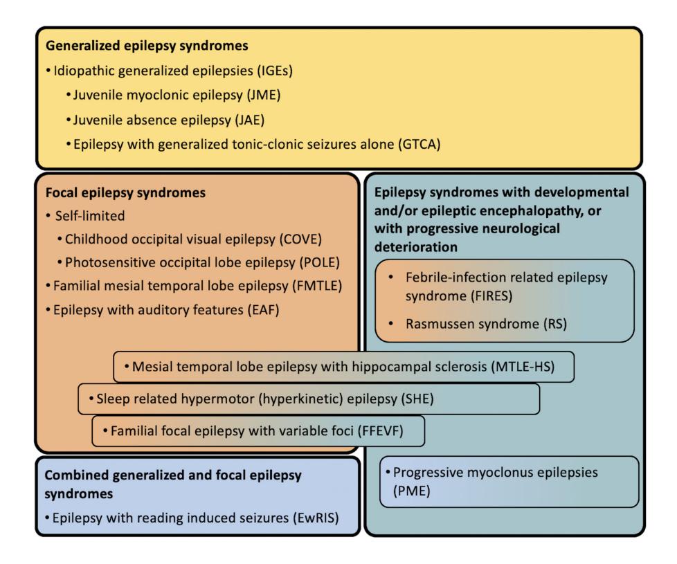 【International League Against Epilepsy classification and definition of epilepsy syndromes with onset at a variable age: position statement by the ILAE Task Force on Nosology and Definitions】Epilepsy Syndrome Classification Chart