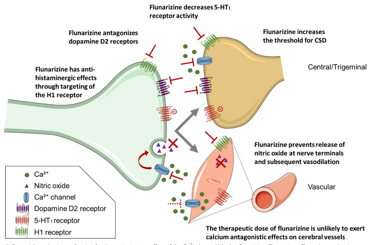 【European Headache Federation (EHF) critical re-appraisal and meta-analysis of oral drugs in migraine prevention-part 2: flunarizine】Mechanism of Action Diagram
