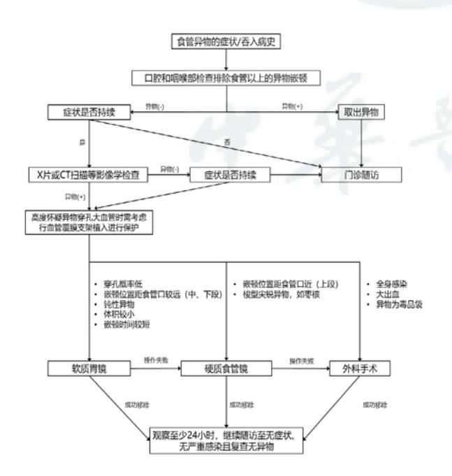 【食管异物诊疗临床路径图】
