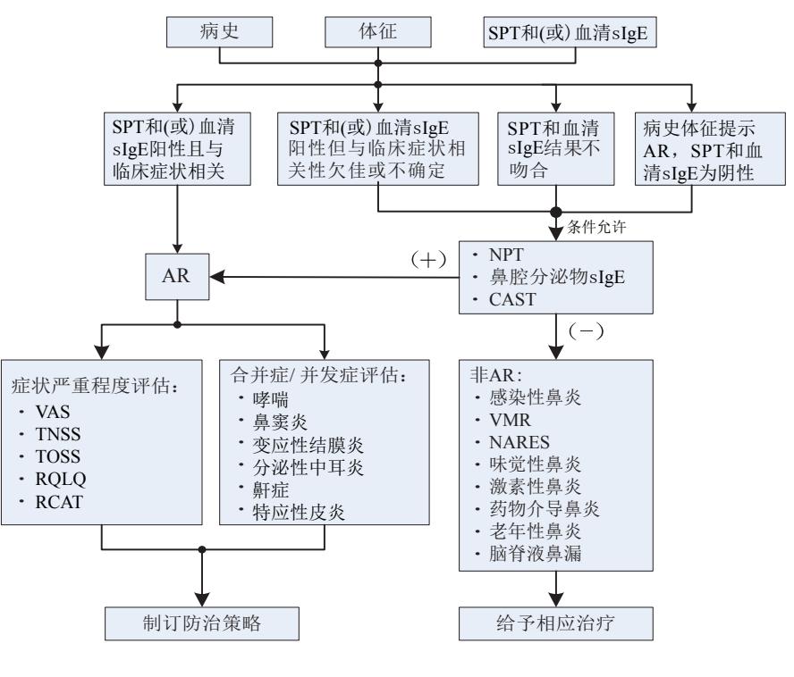 【变应性鼻炎临床诊断流程图】变应性鼻炎临床诊断流程图
