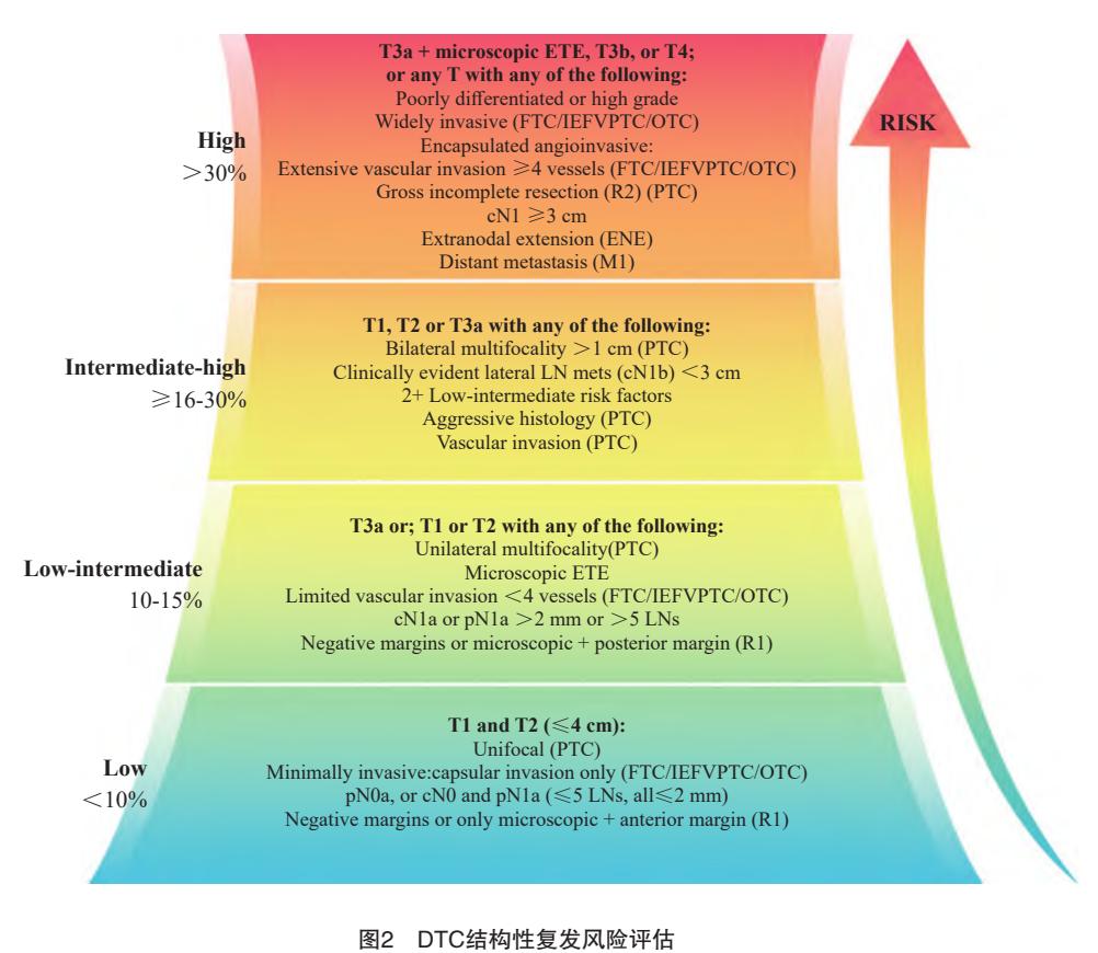 【《2025版美国甲状腺学会成人分化型甲状腺癌管理指南》解读:分化型甲状腺癌的核医学诊治进展】分化型甲状腺癌复发风险分层图
