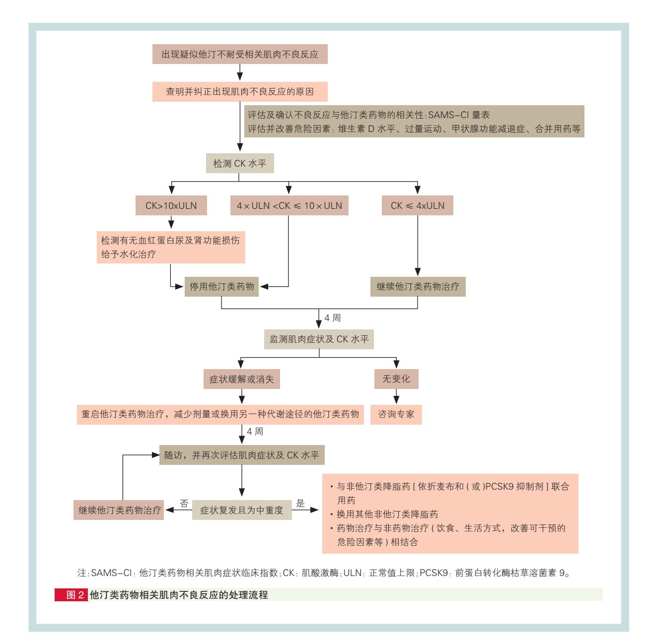 【FLOWCHART/临床诊疗路径图】他汀类药物相关肌肉不良反应的处理流程