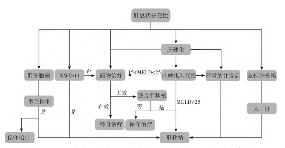 肝豆状核变性诊疗决策路径图
