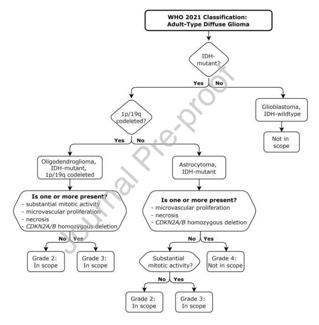 【WHO 2021 Classification: Adult-Type Diffuse Glioma】Diagnostic Algorithm