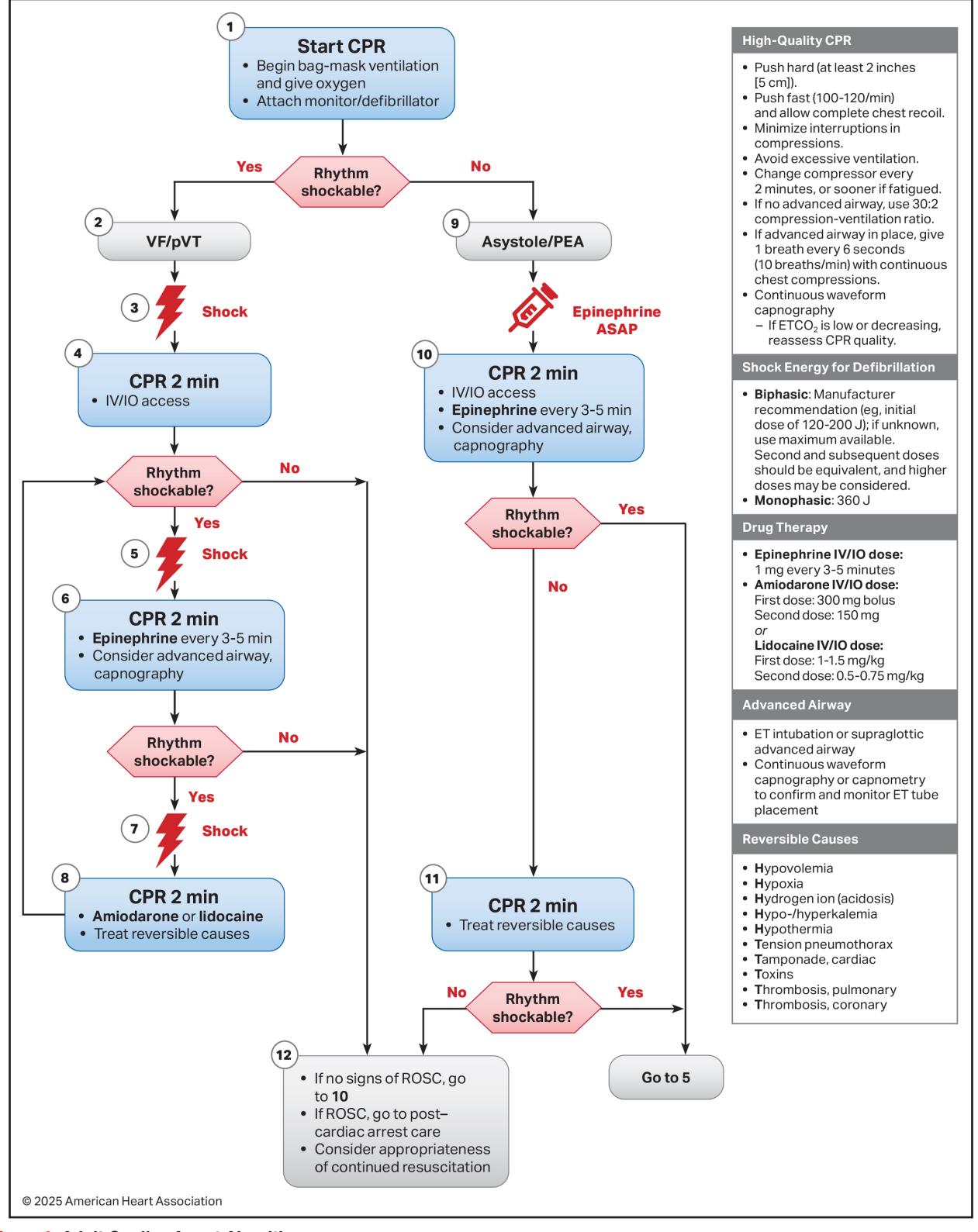 【NCCN Clinical Practice Guidelines: Non-Small Cell Lung Cancer】TNM Staging for Lung Cancer