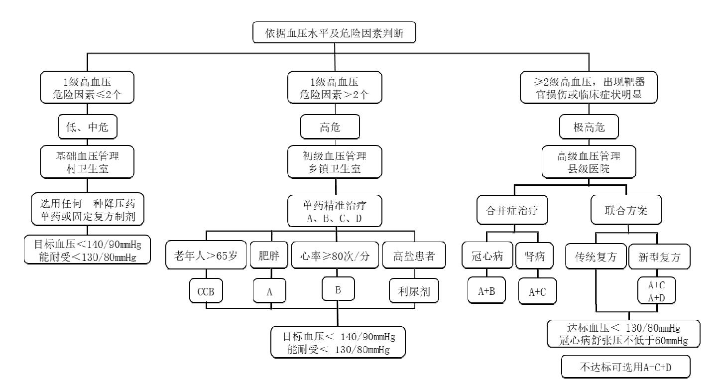 【Human Anatomy Atlas】心血管风险评估流程图