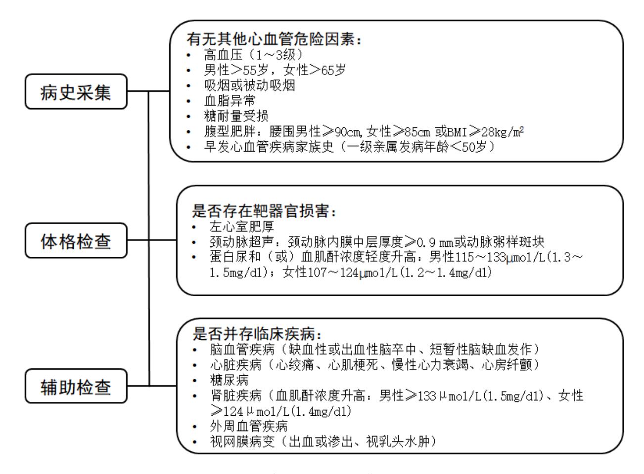 心血管风险评估流程图