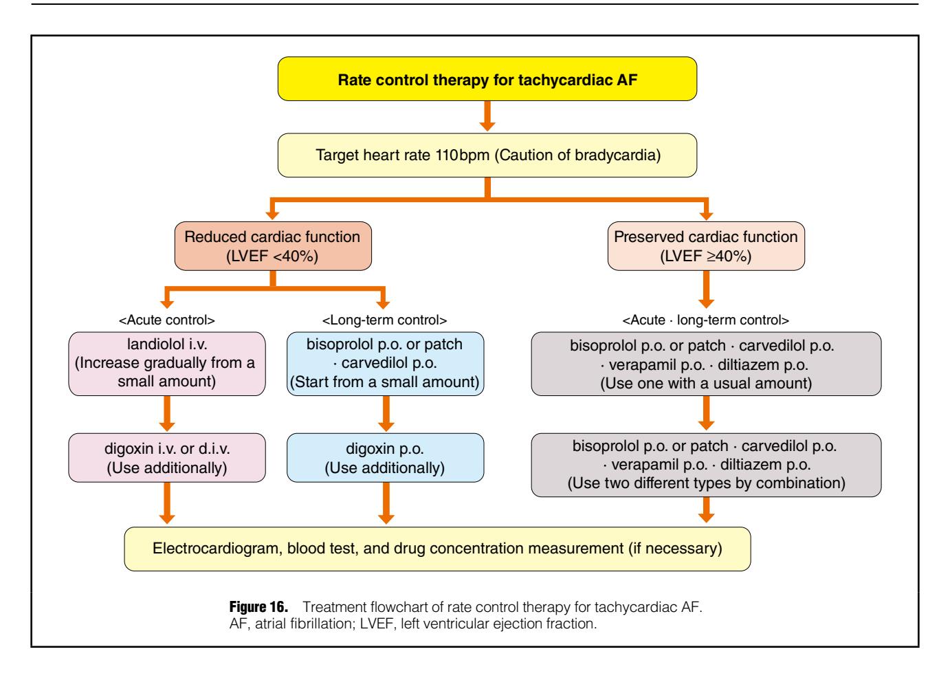 【2023 ACC/AHA/ACCP/HRS Guideline for the Diagnosis and Management of Atrial Fibrillation】Rate control therapy for tachycardiac AF