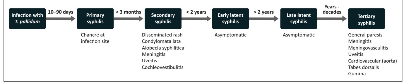 FLOWCHART/Disease progression diagram