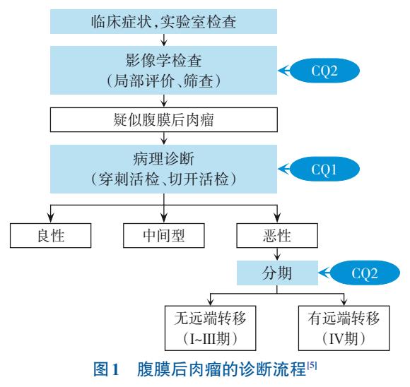 腹膜后肉瘤的诊断流程图