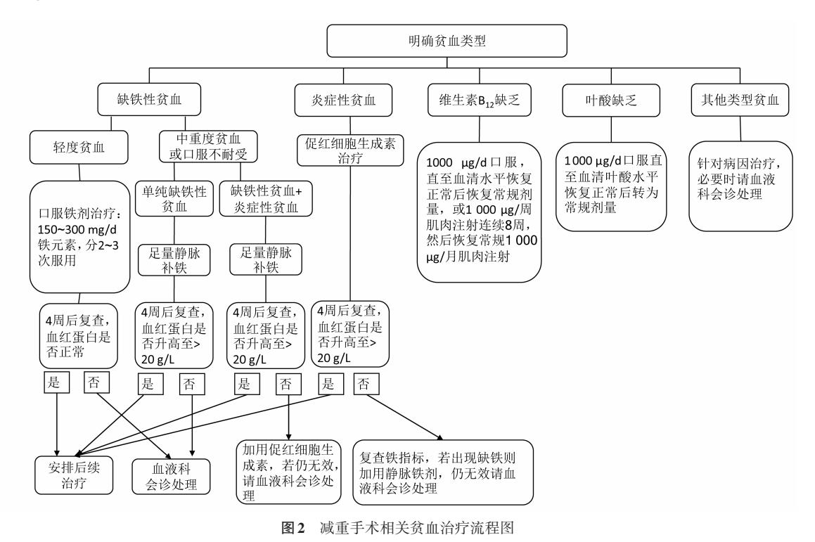 减重手术相关贫血治疗流程图