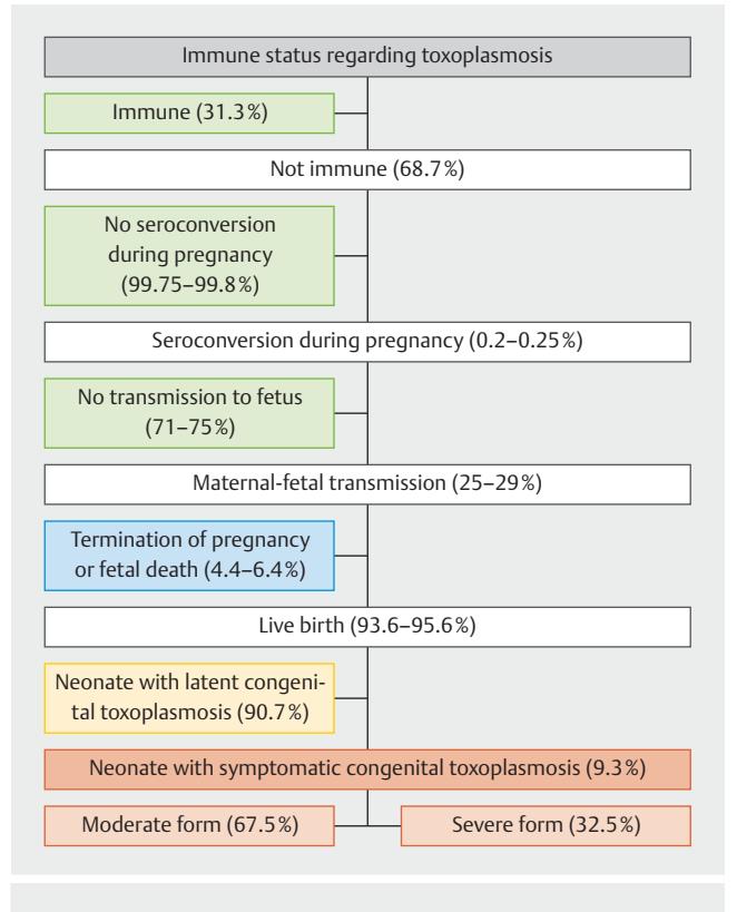 【Toxoplasma gondii Infection in Pregnancy - Recommendations of the Working Group on Obstetrics and Prenatal Medicine】Epidemiological Flowchart