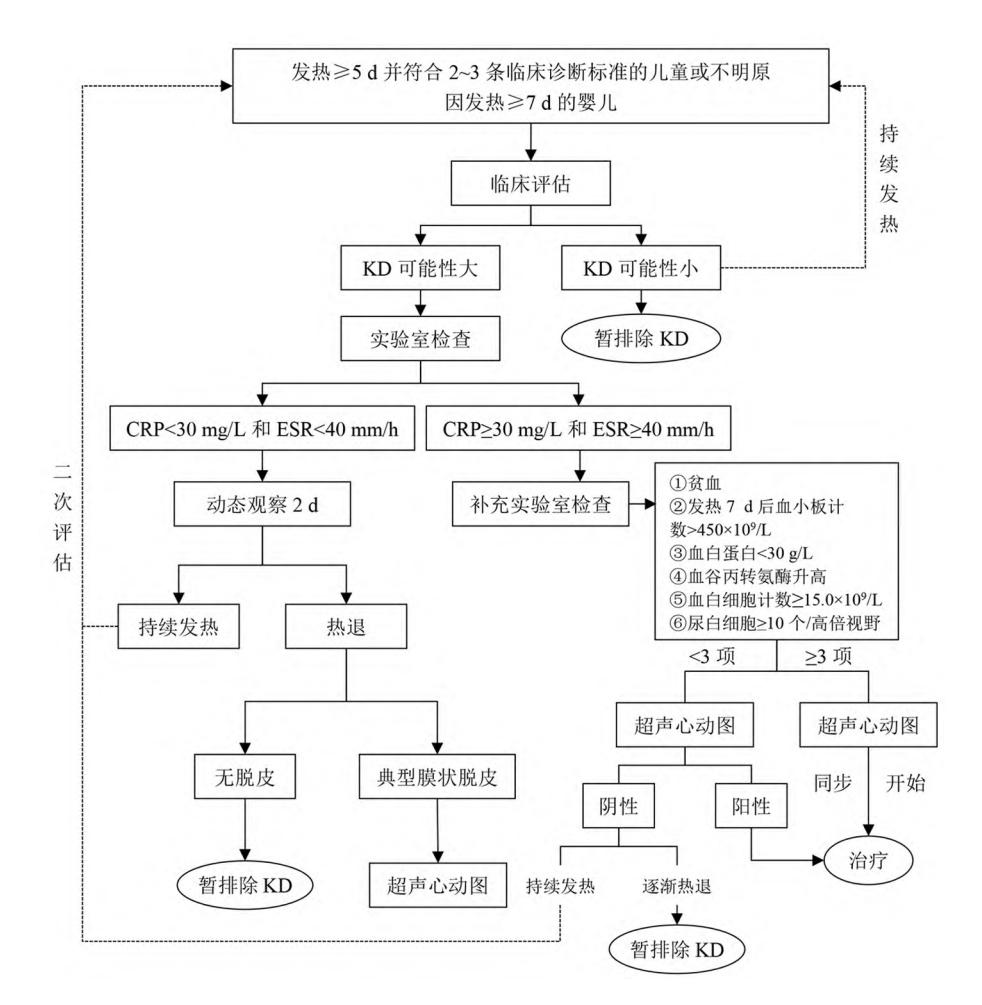【川崎病全科医师诊疗指南(实践版·2025)】川崎病临床诊断流程图