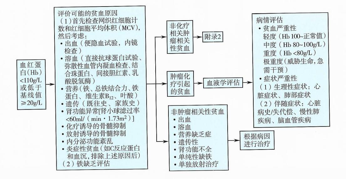 贫血诊断与评估临床路径图
