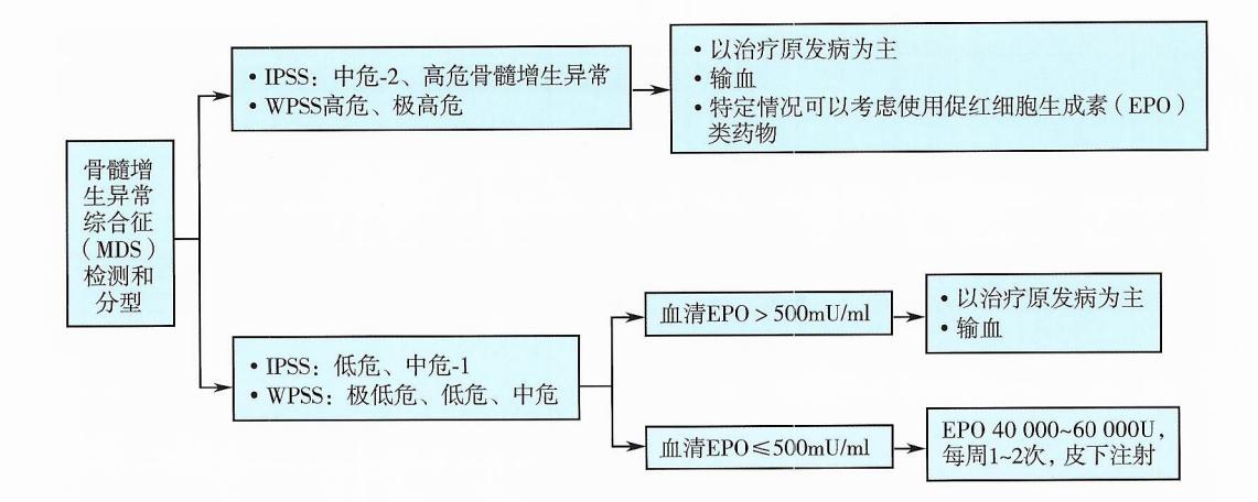 MDS分层治疗流程图