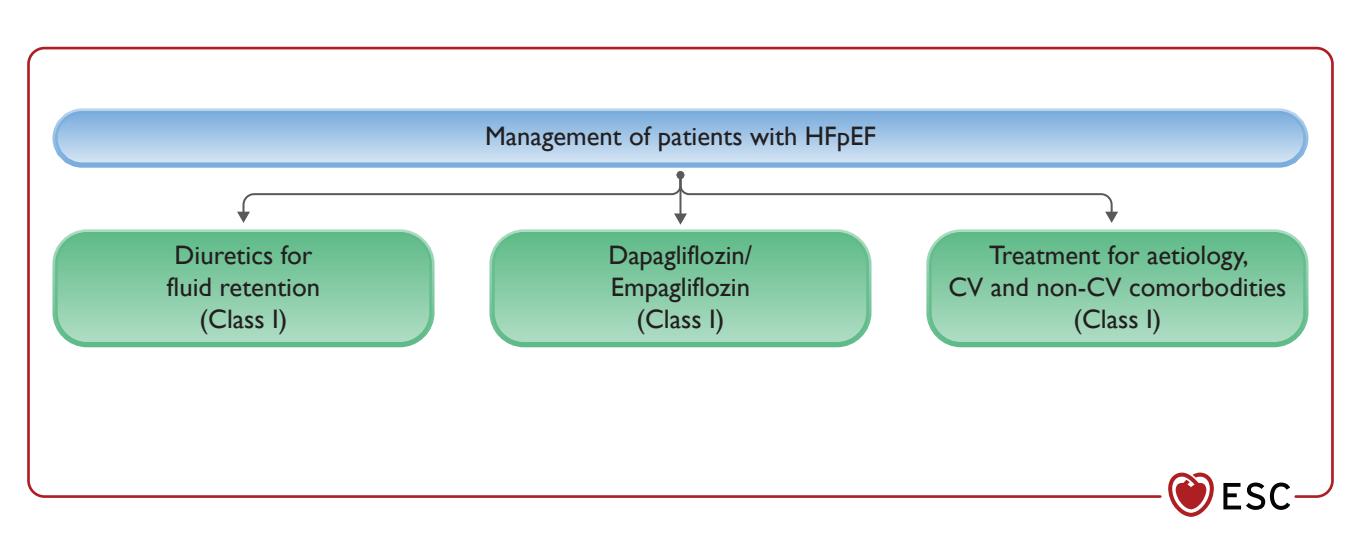 【2023 Focused Update of the 2021 ESC Guidelines for the diagnosis and treatment of acute and chronic heart failure】Clinical management algorithm for HFpEF