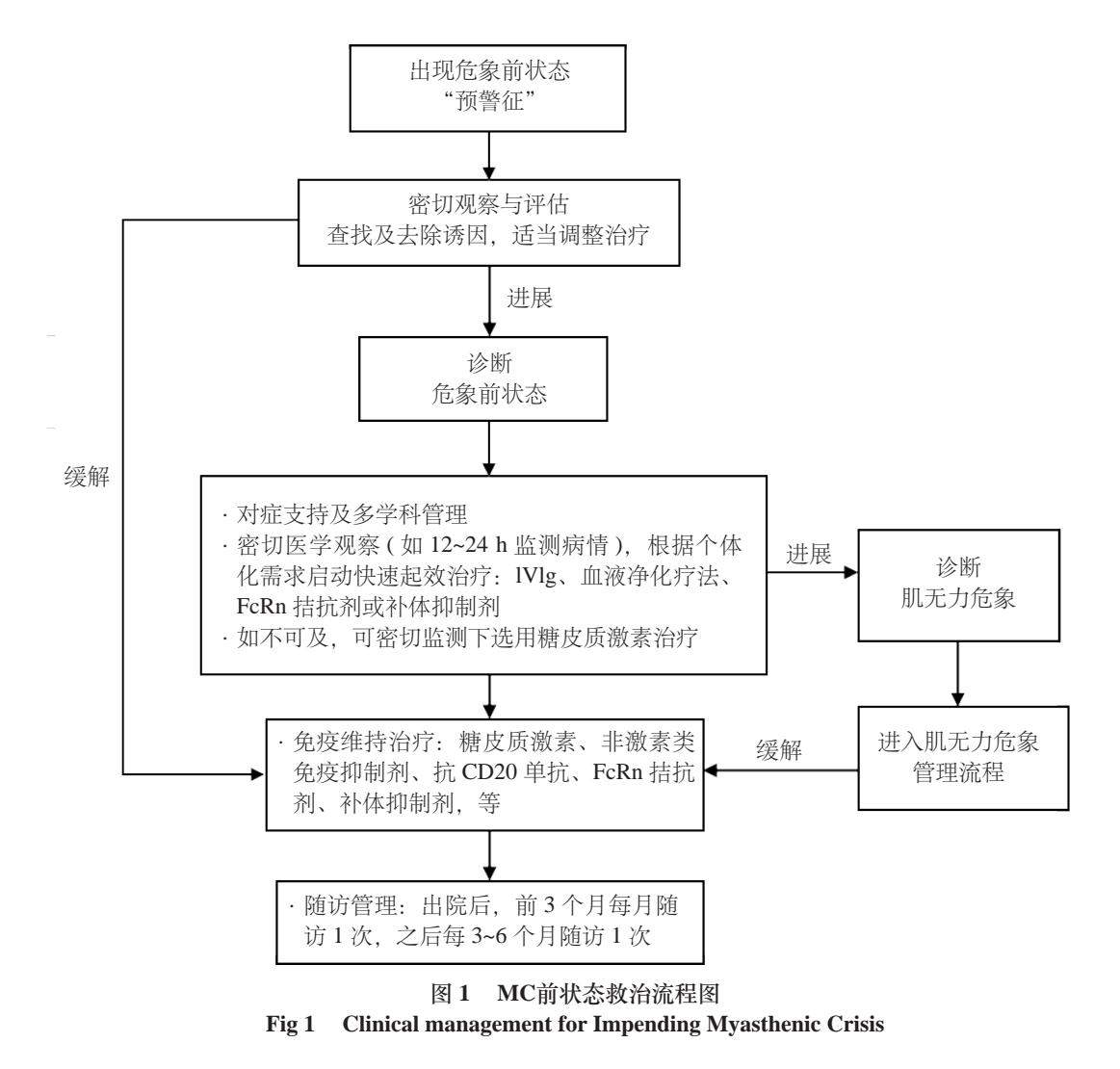 【重症肌无力危象前状态管理专家共识(2024)】MC前状态救治流程图