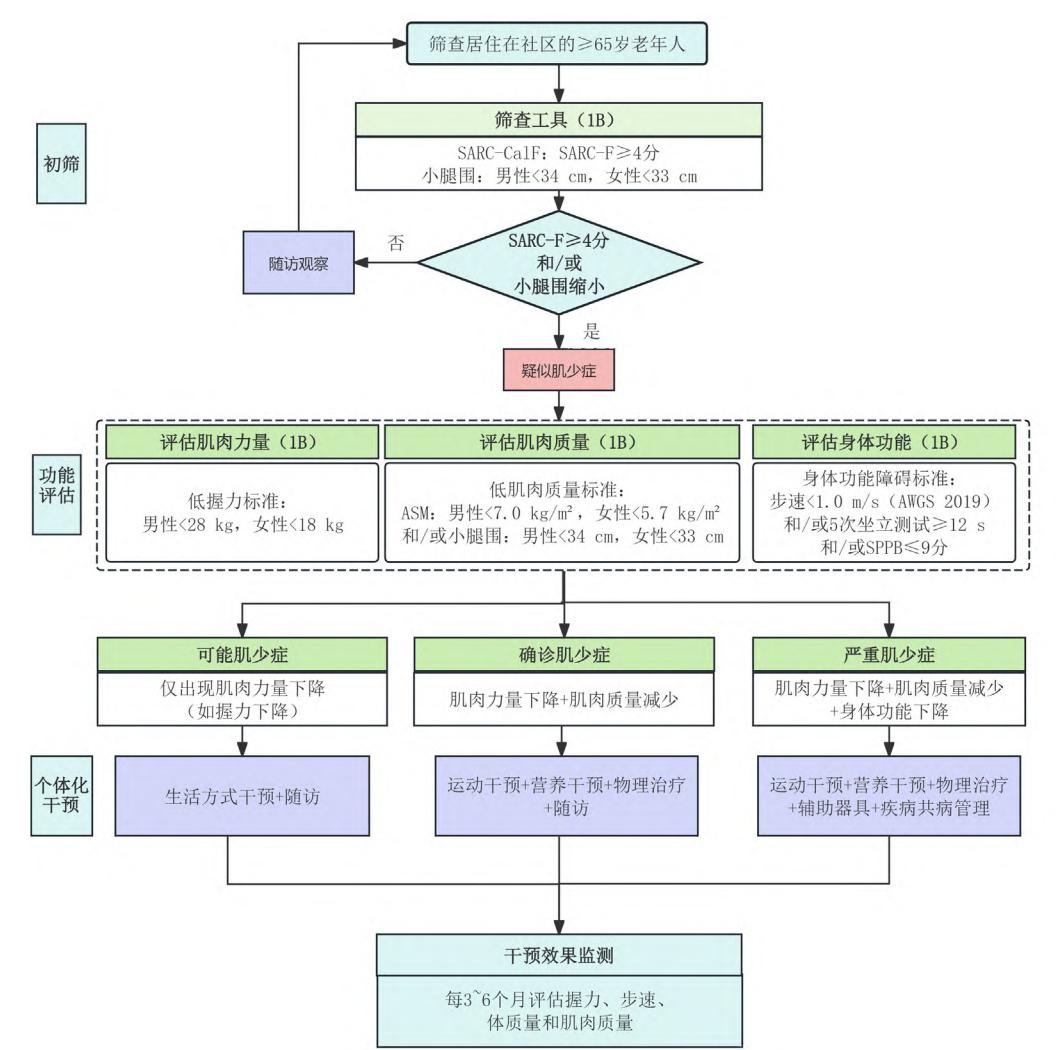 【社区老年人肌少症筛查与诊断流程图】