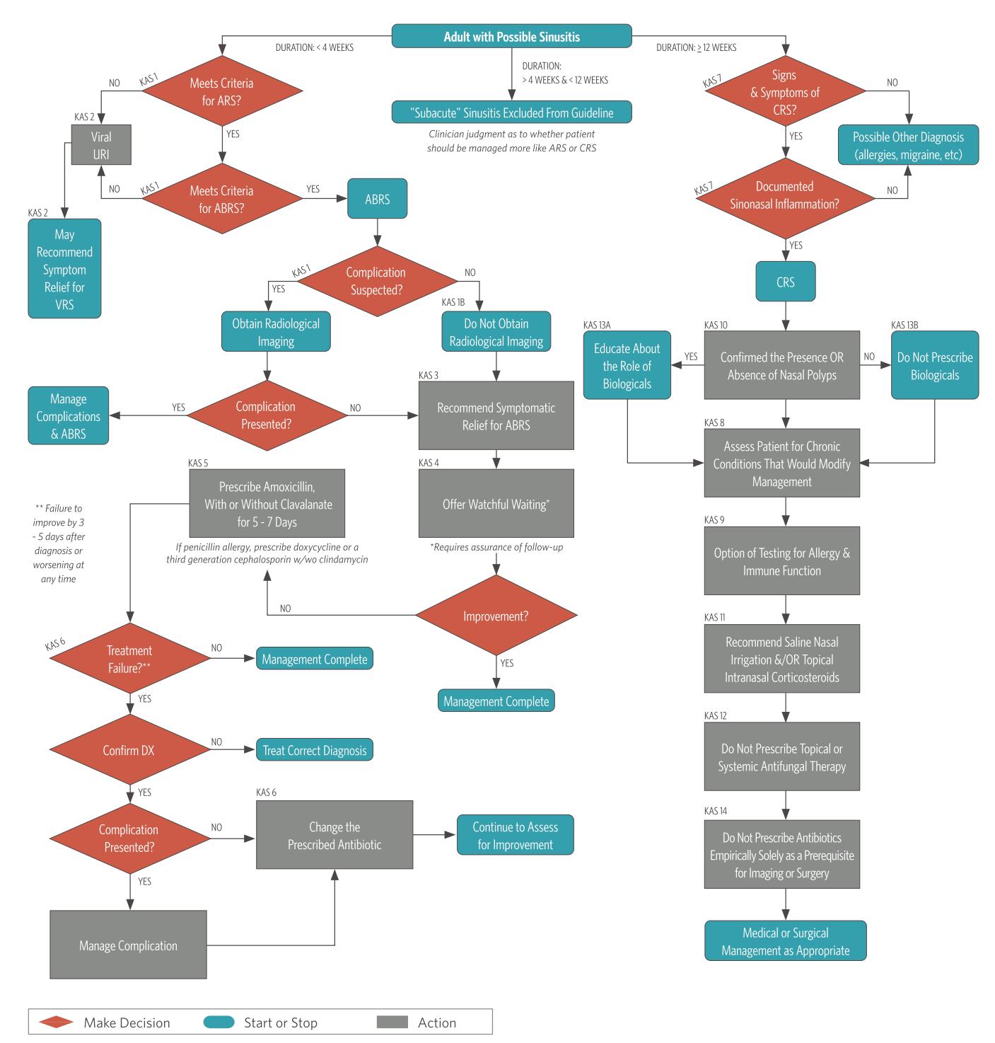 【Executive Summary of the Clinical Practice Guideline on Adult Sinusitis Update】Clinical Practice Guideline Algorithm