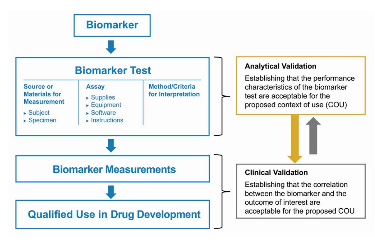 【FDA生物标志物鉴定:证据框架】Biomarker Validation Framework
