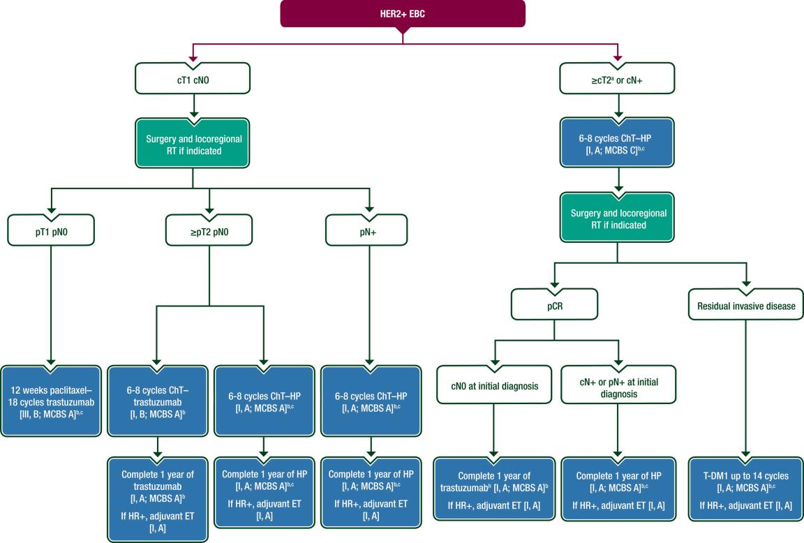 【NCCN临床实践指南】HER2阳性乳腺癌辅助治疗流程图
