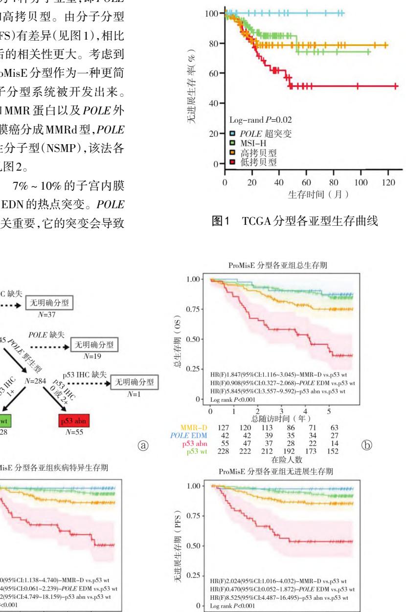 【《子宫内膜癌分子检测:SGO临床实践声明》介绍】生存曲线与分子分型流程图
