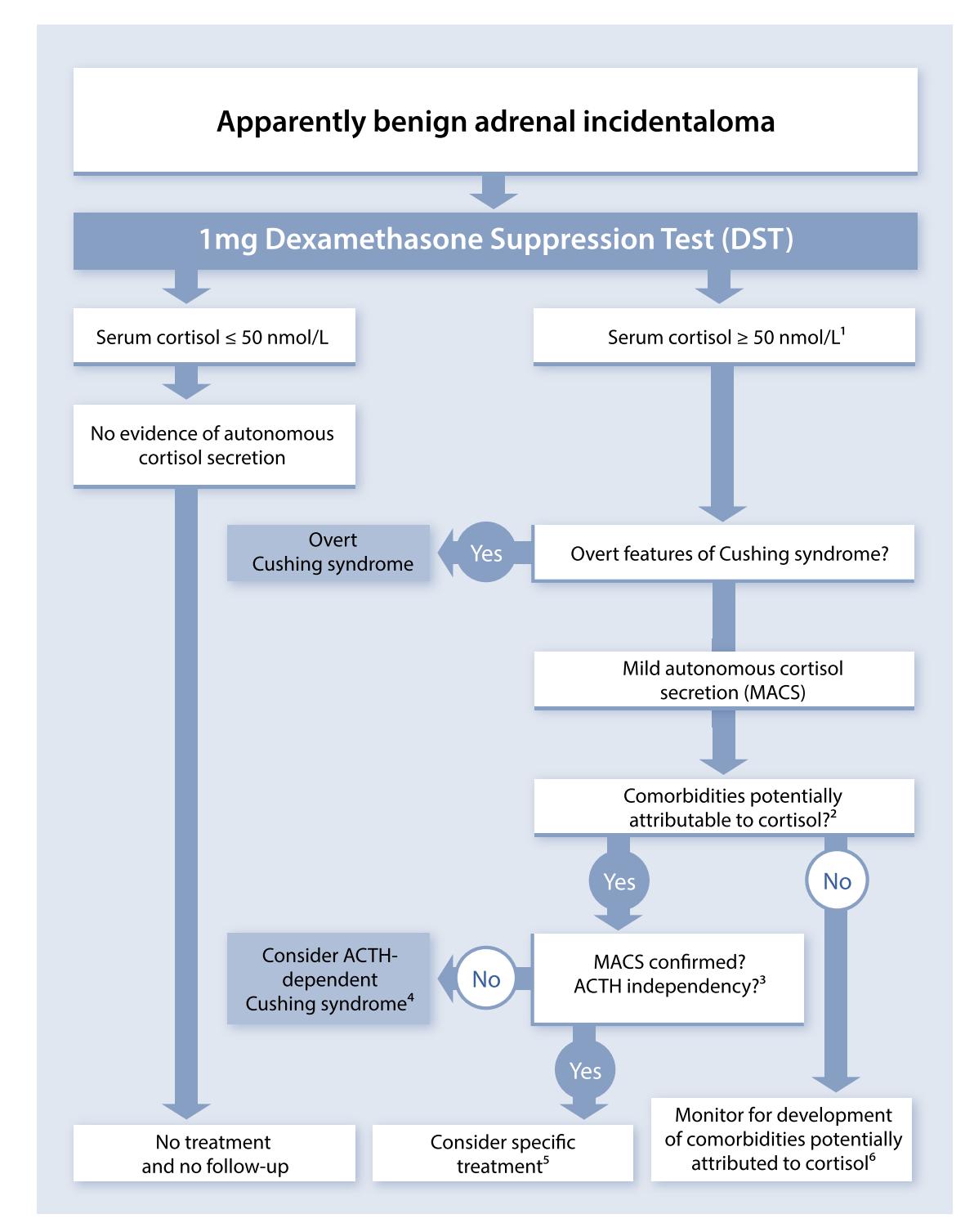 【Clinical Management Algorithm】Benign Adrenal Incidentaloma Management