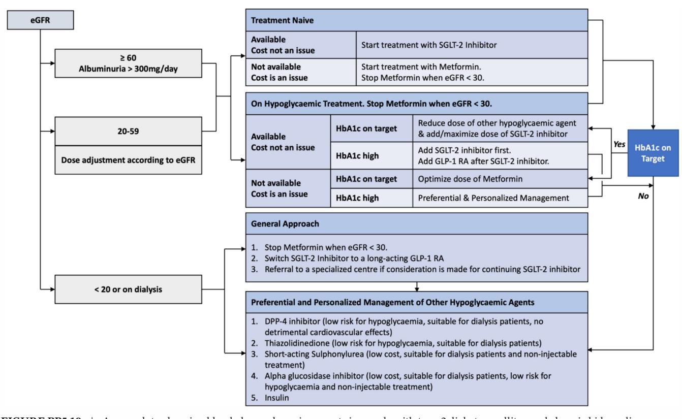image_category: FLOWCHART/Clinical management algorithm for T2DM and CKD | body_region: NA | specialty: Endocrinology/Nephrology | summary: A clinical flowchart outlining the management of blood glucose lowering agents in patients with type 2 diabetes mellitus and chronic kidney disease, stratified by eGFR levels.