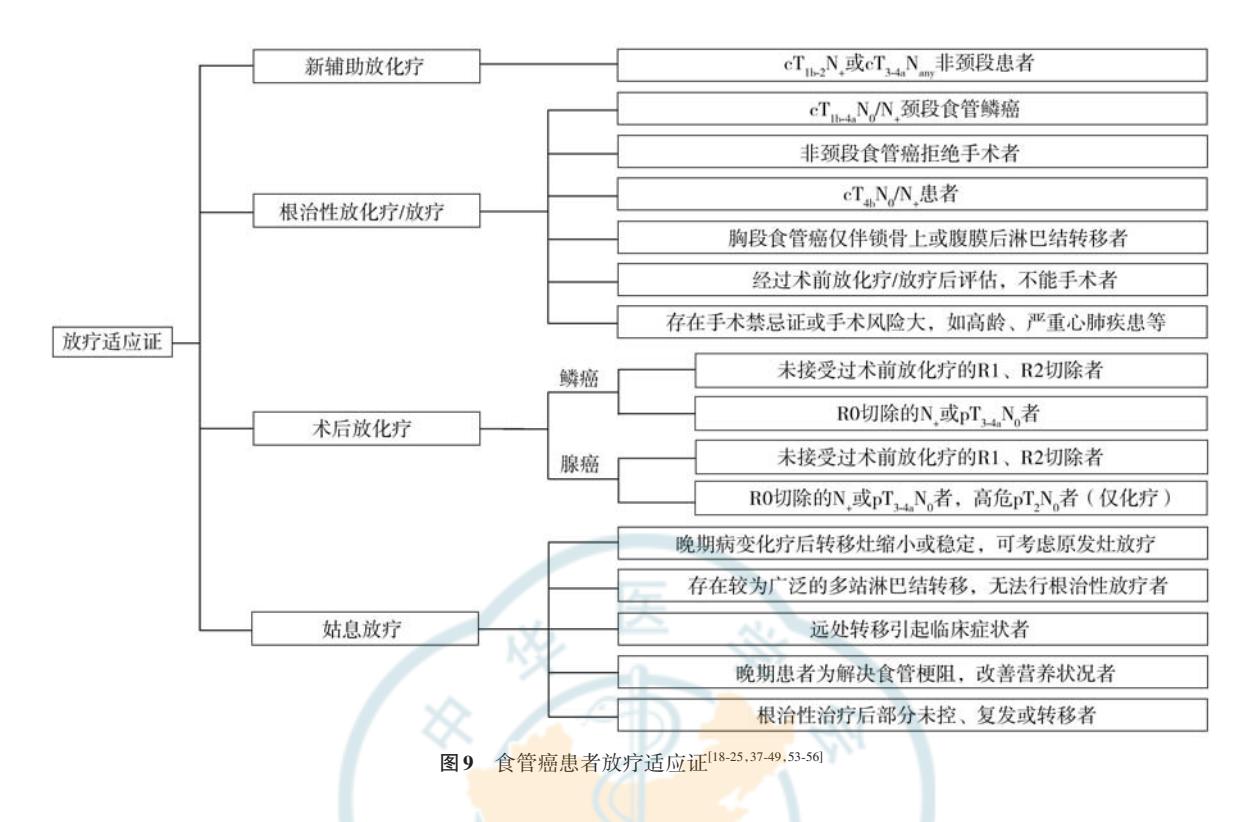 【中国食管癌放射治疗指南】食管癌放疗适应证临床路径图