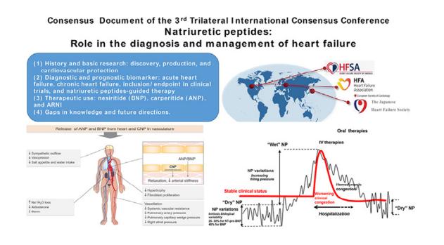 【Natriuretic Peptides: Role in the Diagnosis and Management of Heart Failure: A Scientific Statement From the Heart Failure Association of the European Society of Cardiology, Heart Failure Society of America and Japanese Heart Failure Societ】Consensus Document Summary