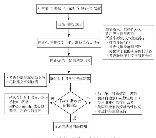 【《2024围术期过敏反应的紧急治疗:英国复苏委员会麻醉科医师抢救流程》解读】围术期过敏反应急救流程图