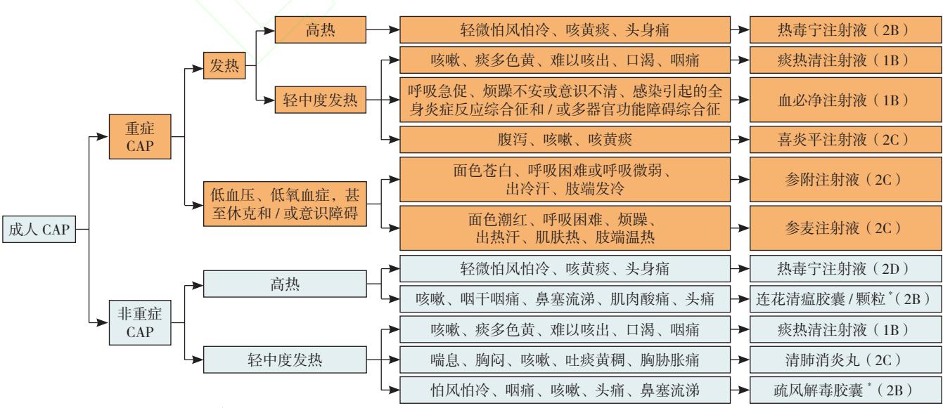 【中成药治疗成人社区获得性肺炎临床应用指南(2025版)】诊疗路径图