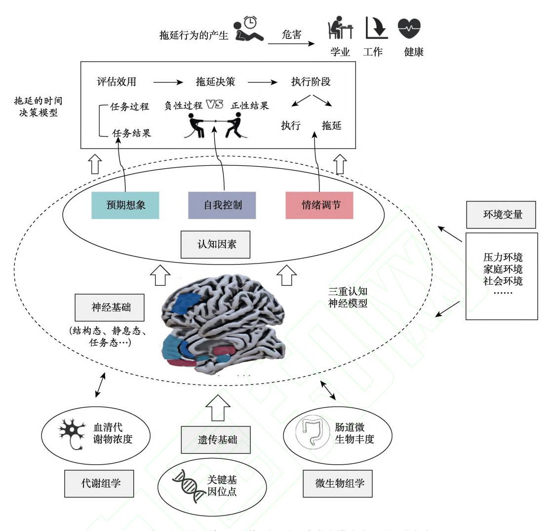 【人类为什么会拖延?基于多模态多组学视角的解读】拖延行为认知神经机制模型图